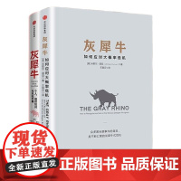 灰犀牛2本套:灰犀牛 如何应对大概率危机+灰犀牛2 个人组织如何与风险共舞