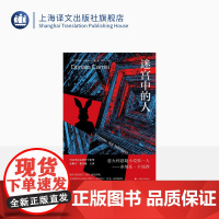 迷宫中的人 卡瑞西悬疑作品系列 [意]多纳托·卡瑞西 著 意大利最的悬疑小说家之一 陈波译 同名电影由达斯汀·霍夫曼主