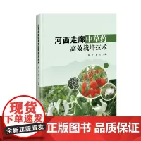 正版书籍 河西走廊中草药高效栽培技术 中草药栽培概述 根及根茎类中草药 果实和种子类中草药 中草药从概述 分类地位 生物