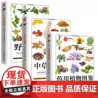 3册 药用植物图鉴+中草药图鉴+野菜图鉴 书籍