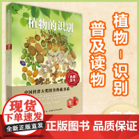 植物的识别 中国科普大奖图书典藏书系第七辑 湖北科学技术出版社 植物-识别-普及读物