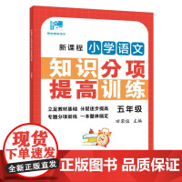 田荣俊教语文 新课程小学语文知识分项提高训练五年级 5年级上下第一二学期通用上海远东出版社 语文课外知识辅导课外练习题含