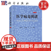 ]医学病毒图谱 第2版第二版 宋敬东 王健伟 洪涛 负染超薄切片照片病毒科人乳头瘤病毒 科学出版社 978703