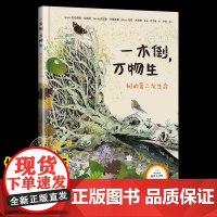 一木倒万物生树的第二次生命 博洛尼亚童书奖科普作品讲述植物界的鲸落现象 少儿科普阅读绘本森林人与自然和谐生态学译林