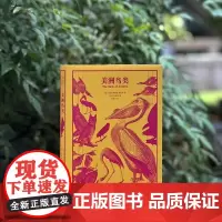 美洲鸟类 约翰•詹姆斯•奥杜邦著