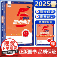 2025春5星学霸同步阅读语文小学二年级下册人教版经纶学典2年级下RJ版语文专项阅读综合阅读思维导图解题模型同