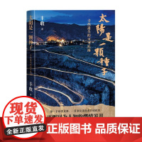 太阳是一颗种子 寻找遗失的可可托海 “两弹一星”背后的故事,这是可可托海人最难忘的岁月 全新长篇力作 人民文学出版社安徽