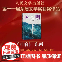 回响 东西著[第十一届茅盾文学奖获奖作品]长篇小说 冯小刚导演 宋佳王阳包贝尔主演悬疑作品原著小说 正版书籍