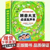 拼音大点读发声书 拼音大点读发声书拼音手指点读书拼音学习早教幼小衔接一年级儿童拼音学习声母韵母整体认读