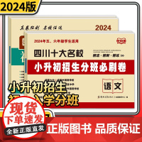 2024年四川十大名校小升初招生初一入学分班必刷卷语文数学试卷绵阳成都市小学五六年级冲刺名校考试真题试卷子小考总复习