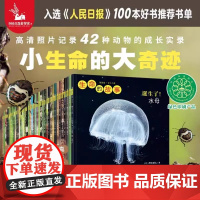 生命的故事30册44册礼盒儿童趣味百科少儿昆虫百科全书科普动物世界自然笔记3-6岁幼儿园图书绘本儿童科普书籍