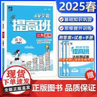 2025春经纶学霸4星学霸提高班语文江苏适用二年级下同步小学教辅2年级下专项突破单元期中期末冲刺归类复习提高练