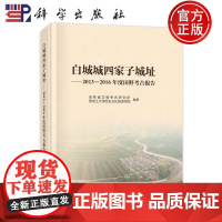 ]白城城四家子城址 2013—2016年度田野考古报告 吉林省文物考古研究所 黑龙江大学文化旅游学院978703