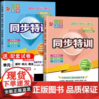 24年新版同步特训三年级上册 课时作业本语文数学 人教版 小学二三年级上册 课本教材 一课一练专项训练配套测试卷 每日一