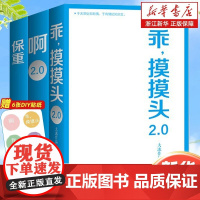 大冰散文作品集保重全新作品小蓝书系列收官之作啊2.0乖摸摸头小孩大冰作品集短篇小说故事集正版小说书