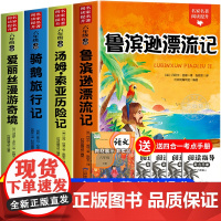 全套4册 六年级下册必读的课外书原著完整版鲁滨逊漂流记正版老师爱丽丝漫游奇境尼尔斯骑鹅旅行汤姆索亚历险记快乐读书吧