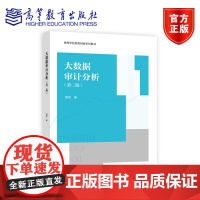 大数据审计分析(第二版) 樊斌 高等教育出版社