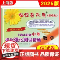 2025灿烂在六月 中考数学(模拟强化测试精编) 上海市新中考模拟强化测试精编 上海初三学生总复习试卷 答案另拍 中考数