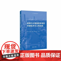 城镇污水管网提质增效关键技术与工程实践 同济大学出版社