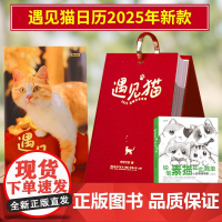 2册 遇见猫日历2025年新款+铅笔素描如此简单小动物萌萌哒 猫咪日历温暖治愈指南 25年蛇年手撕日历新年记事本创意桌面