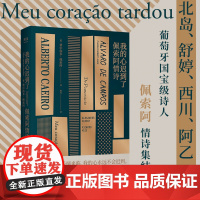 我的心迟到了 佩索阿情诗 葡萄牙国宝级诗人 佩索阿情诗集 诗歌 爱情 情诗 外国文学 经典 北岛 舒婷 西川 阿乙