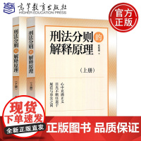 刑法分则的解释原理 上下册 张明楷 刑法解释方法技巧 刑法分则与总则 刑法分则规范含义 刑法学教材 高等教育出