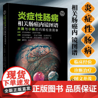 [正版]炎症性肠病相关肠癌内镜图谱 大肠与小肠的内镜检查图像 (日)松井敏幸等著 虞伟明 许丰 译 辽宁科学技术出版