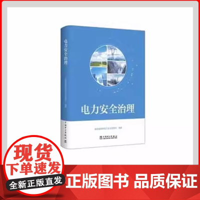 正版 电力安全治理 中国电力出版社