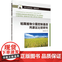 [按需印刷]稻属植物分蘖控制基因同源区比较研究/张胜利科学出版社