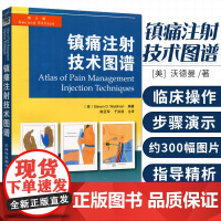 镇痛注射技术图谱 图解 新版 颞颌关节注射 临床实用医学书籍 简单实用的疼痛缓解方法 天津翻译出版社 9787