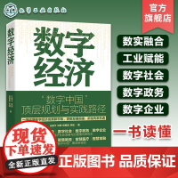 数字经济 数字中国顶层规划与实践路径 一本书读懂数字经济发展态势 数字经济战略发展 企业数字化转型知识读物 5G大数据创