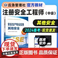 应急管理社正版备考2024年中级注册安全工程师其他安全教材中级注册安全工程师执业资格考试用书安全生产专业实务其他安全