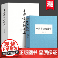 中国书法批评史+中国书法史述略 书法历史大全汉唐宋元明清朝文化艺术 追寻书法意义的历史解析书法书法技法篆楷行草碑帖研究理