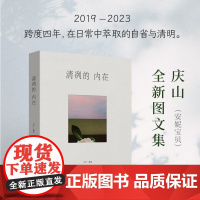 清冽的内在庆山著安妮宝贝2023全新图文集一切境 从心出发 男女爱情原生家庭亲子教育代际关系心灵成长阅读心得 幸福写作经