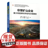 企业安全风险评估技术与管控体系研究丛书 非煤矿山企业重大风险辨识评估与分级管控 非煤矿山企业负责人和政府安全监管人员阅读