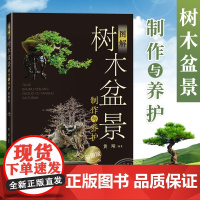 图解树木盆景制作与养护 彩图版 树木盆景造型书籍盆景造型书家庭园艺设计 新手入门零基础盆景制作教材大全盆景养护教程书籍正