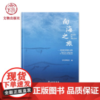 向海之旅——重返海洋的爬行动物 海洋爬行动物 图录 古生物 现代海洋爬行动物 标本 三叠纪 化石 文物出版社