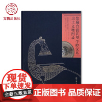 馆藏合浦县望牛岭汉墓出土文物图录 望牛岭汉墓M2 文物保护修复 图录 容器 生活日用杂器 车马器 装饰品 汉 岭南风尚