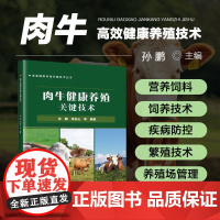 肉牛健康养殖关键技术 畜禽健康养殖关键技术丛书 肉羊养殖技术大全书 肉牛品种选育 牛场建设规划布局管理 肉牛营养饲料配置