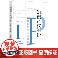 正版 知识产权纠纷裁判标准实务精解 朱玮洁著 法律出版社