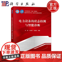 正版 平装胶订 电力设备的状态检测与智能诊断 尹毅 王亚林 王雅妮 科学出版社 9787030761729