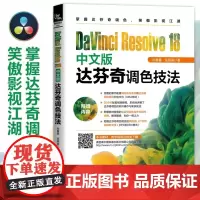 [2023新书]DaVinci Resolve 18中文版达芬奇调色技法 孙春星,庄栎燊 达芬奇调色套底回批画质优化镜头