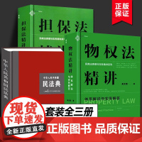 全3册 物权法精讲体系解说与实务解答+担保法精讲体系解说与实务解答+民法典 民商法原理与实务精讲担保制度体系化担保规则