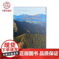 宁夏贺兰山东麓古代文化遗存考古调查报告 贺兰山东麓文化 寺庙 宫殿 摩崖石刻 西夏 考古 文物出版社