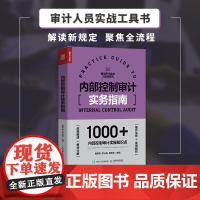 内部控制审计实务指南 内部控制审计工具书 一线审计工作者操刀 近百个实战图表模板示例 1000+内控审计实操知识点详解