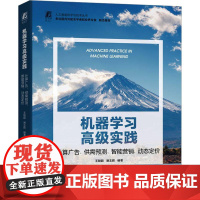 机器学习高级实践 计算广告供需预测智能营销动态定价