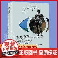 正版 浮光掠影 厄普代克艺术随笔集 李和庆 译 全四色彩印 190余幅图片 多角度剖析经典绘画、雕塑和插图等艺术作品 上