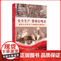 正版 2024年安全生产月 安全生产 警钟长鸣Ⅱ——重特大安全生产事故警示教育片U盘版 应急管理出版社