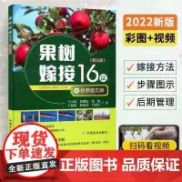 果树嫁接16法 第三版 嫁接愈合及成活原理室内嫁接时间及注意事项嫁接后管理书籍果树种植书籍 果树苗木嫁接方法农业书籍