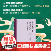 有情之天下就在此岸 叶朗谈《红楼梦》 叶朗文集 从美学眼光谈红楼梦文集 红楼梦的悲剧 点睛之笔闲笔小说美学 店正版